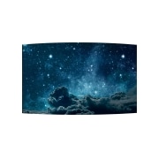 LG Curvable OLED Signage, 55EF5F-L, thumbnail 9