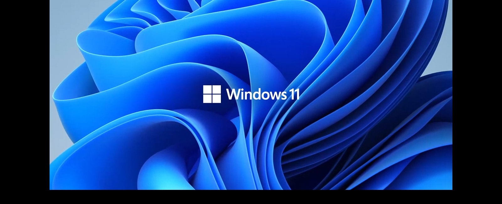 Pokazuje logo Windows11 i obraz tła