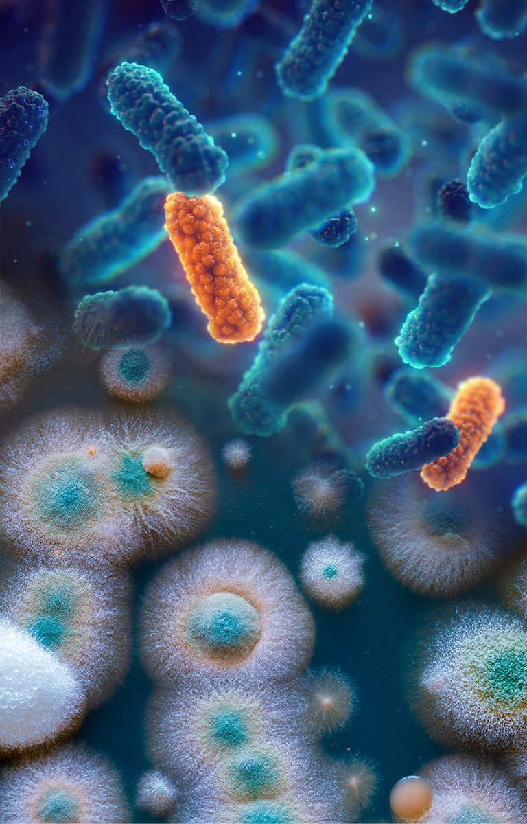 What Is Antimicrobial Technology? Definition & More