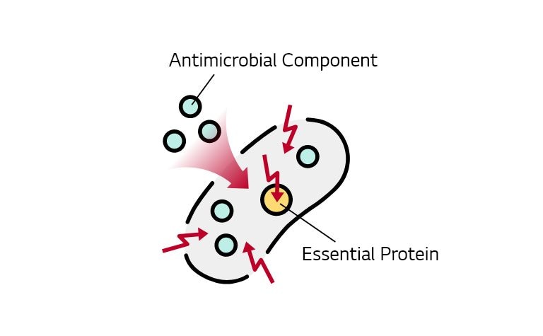 What Is Antimicrobial Technology? Definition & More