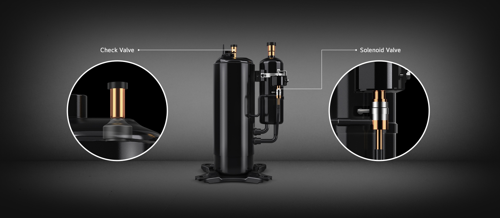 The image displays a black rotary compressor with detailed close-ups highlighting the check valve and solenoid valve components.