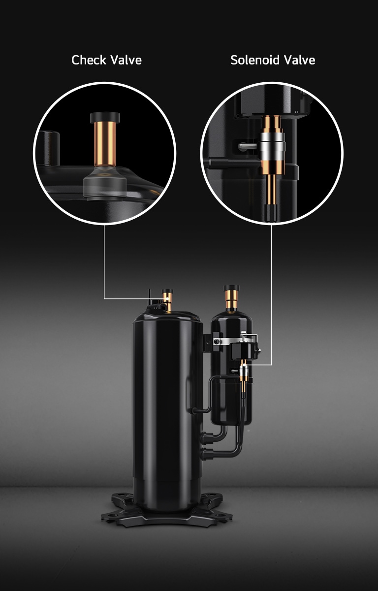 The image displays a black rotary compressor with detailed close-ups highlighting the check valve and solenoid valve components.