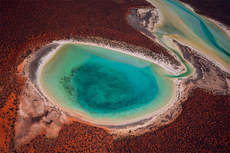 Bird's-eye view of Shark Bay.