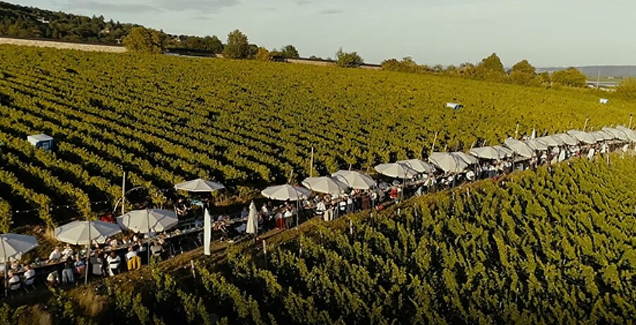 Photo overlooking the Steinberg Round Table event where people can enjoy wine, food and music outside.