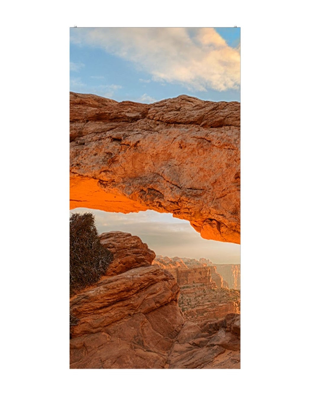 LG GSCA Versatile Series, μπροστινή όψη με εικόνα οθόνης, 500x1000, GSCA039-GN