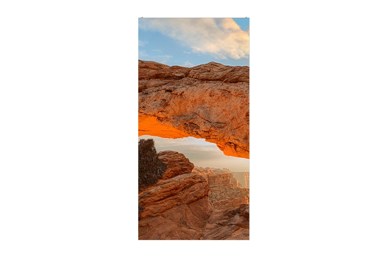 LG GSCA Versatile Series, μπροστινή όψη με εικόνα οθόνης, 500x1000, GSCA039-GN