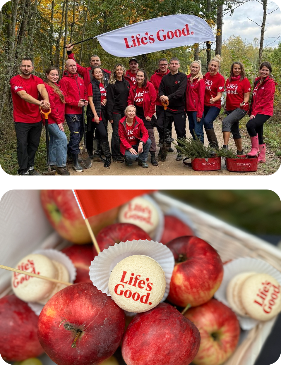 LG Electronics corporate social responsibility LG Latvia planting 1200 trees