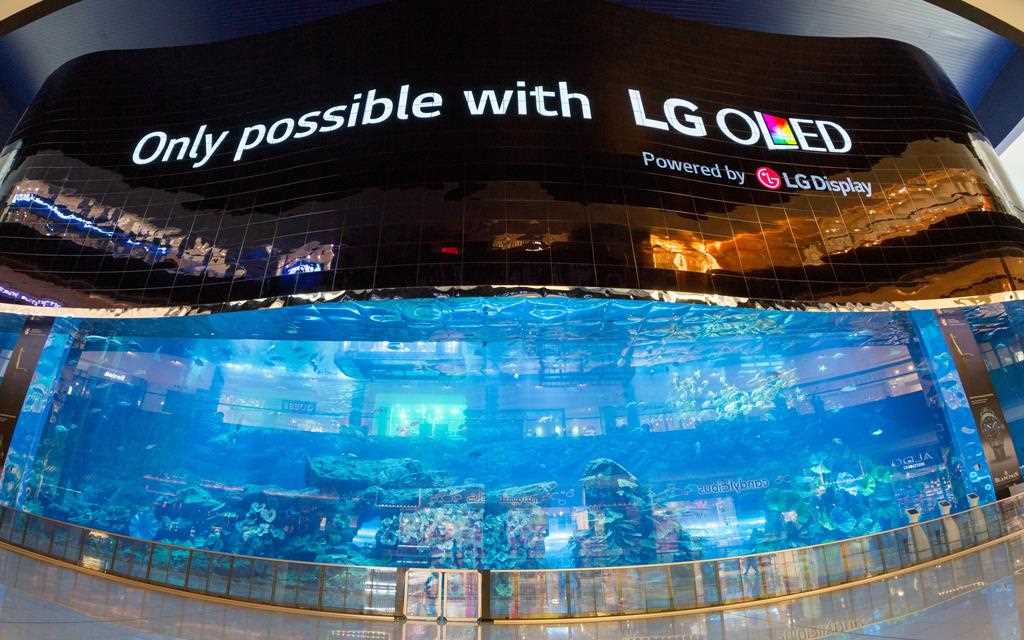 LG OLED Wall Sets Multiple Records_1280x640.jpg
