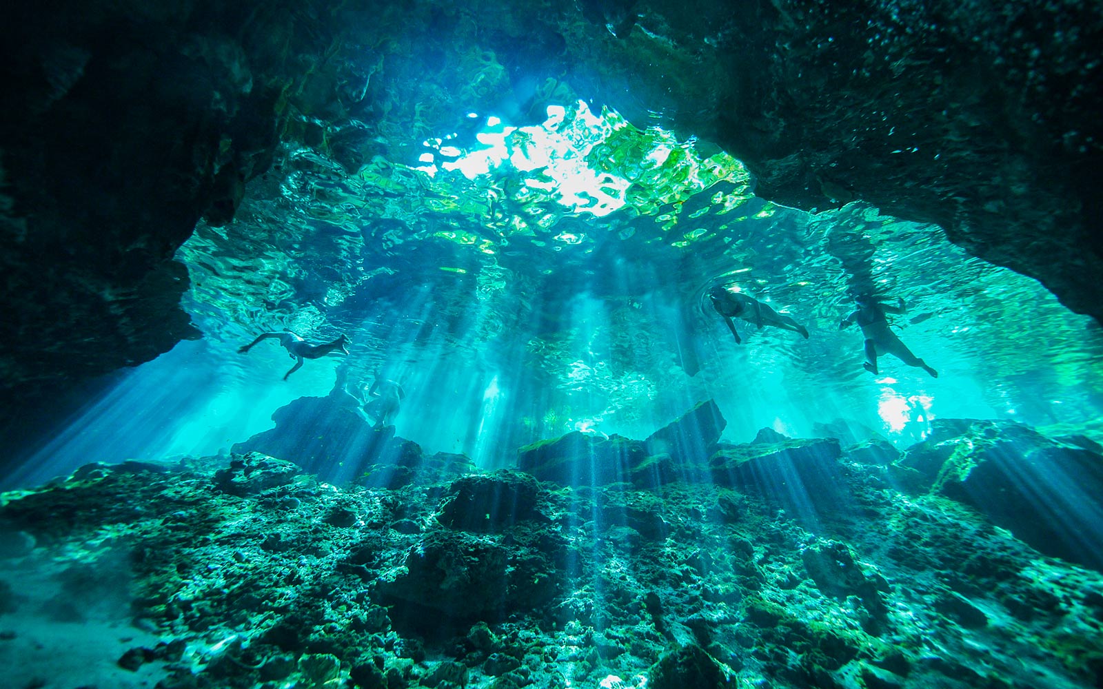 Scena subacquea illuminata da raggi di luce che penetrano nell'acqua (riproduci video).