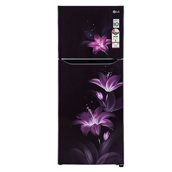 black refrigerator lg