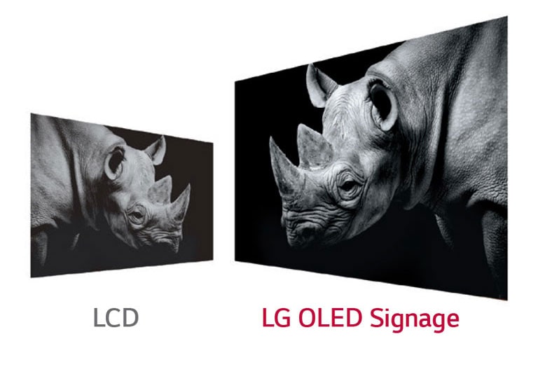 L'Ecran OLED à double affichage 55EH5C-S de LG