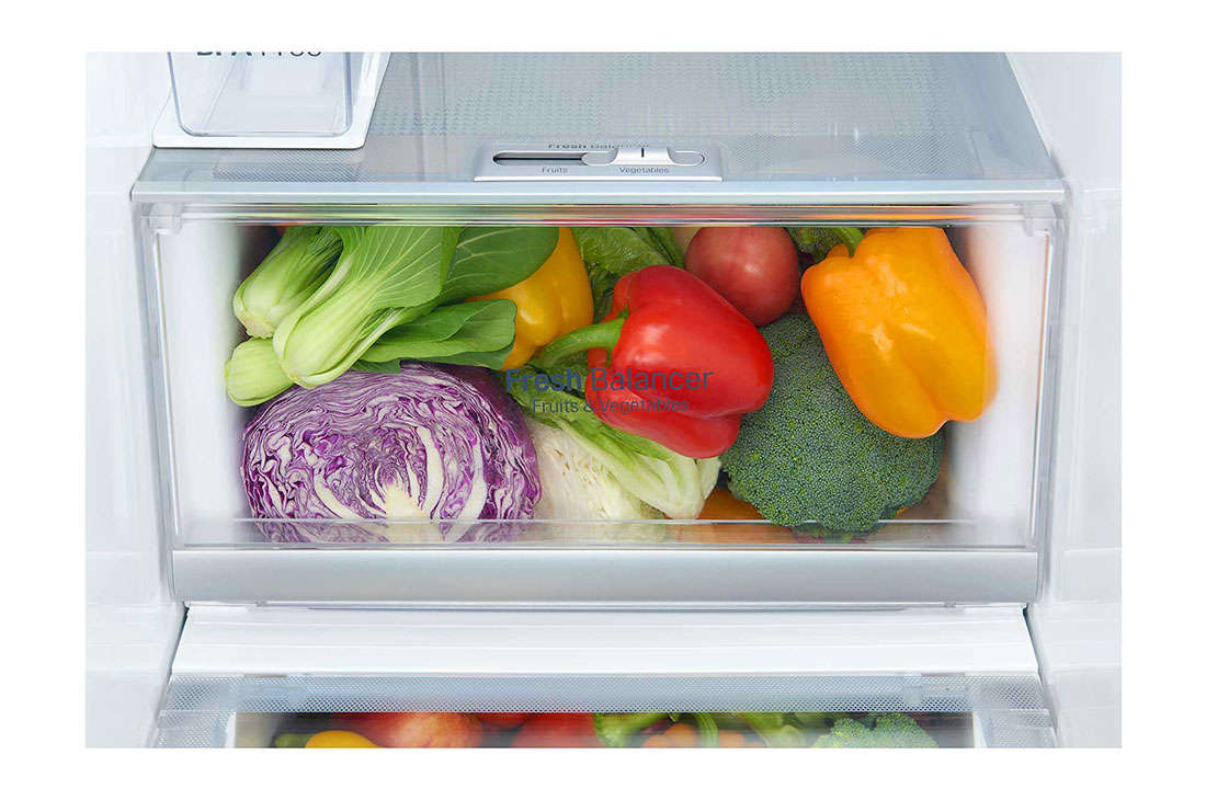Lg 25 Cu Ft Side By Side Refrigerator Huge Storage Lg Levant