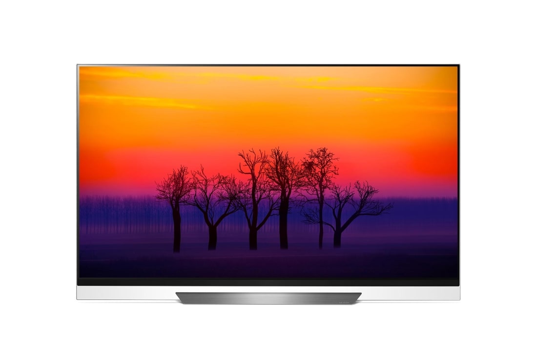 LG 55 colių OLED televizorius, OLED55E8PLA