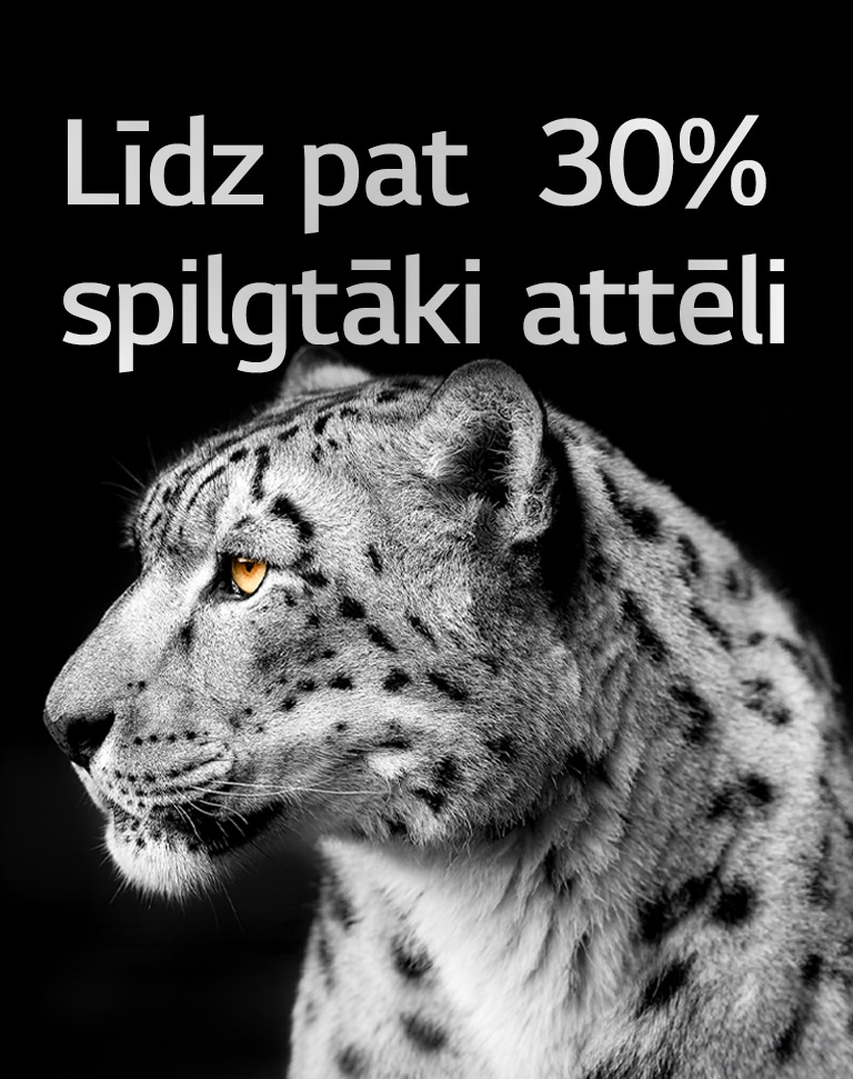 Balts leopards no sāna attēla kreisajā pusē. Kreisajā pusē parādīti vārdi "Līdz pat 30 % spilgtāki attēli".