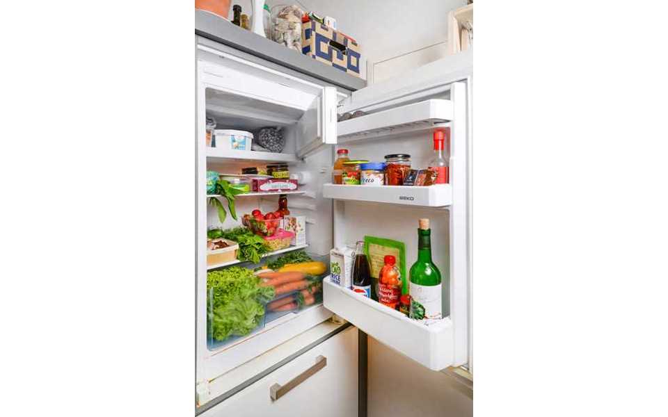Einārs - veģetārietis - Arta - vegāne - ledusskapis