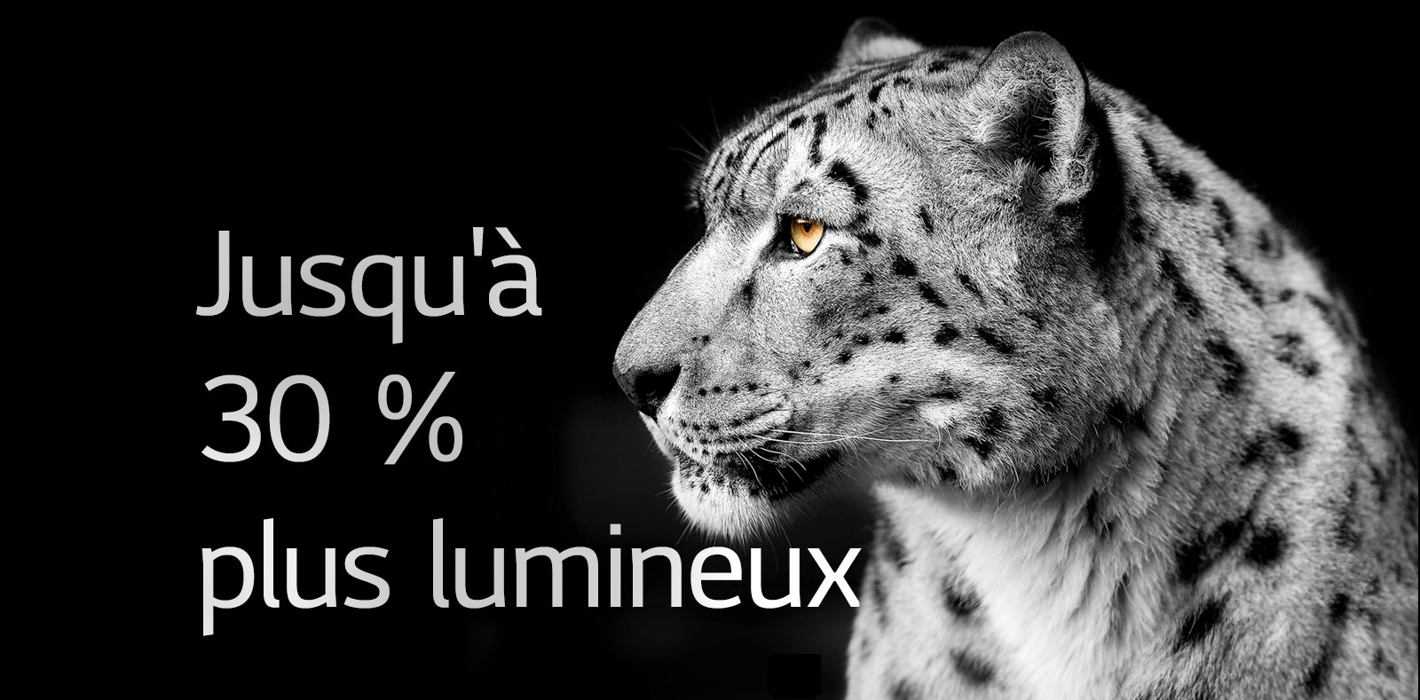 Un léopard blanc montrant sa face latérale sur le côté gauche de l'image. La mention "Up to 30% brighter" apparaît à gauche.