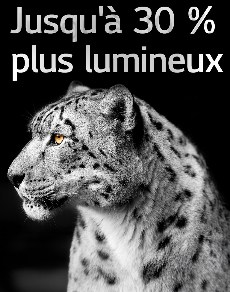 Un léopard blanc montrant sa face latérale sur le côté gauche de l'image. La mention "Up to 30% brighter" apparaît à gauche.
