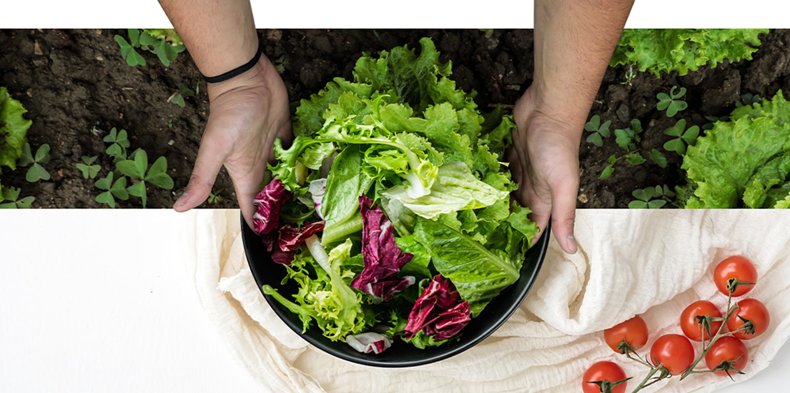 Bol de légumes frais comme s'ils étaient fraîchement récoltés dans une ferme à l'aide de la technologie de refroidissement du réfrigérateur.