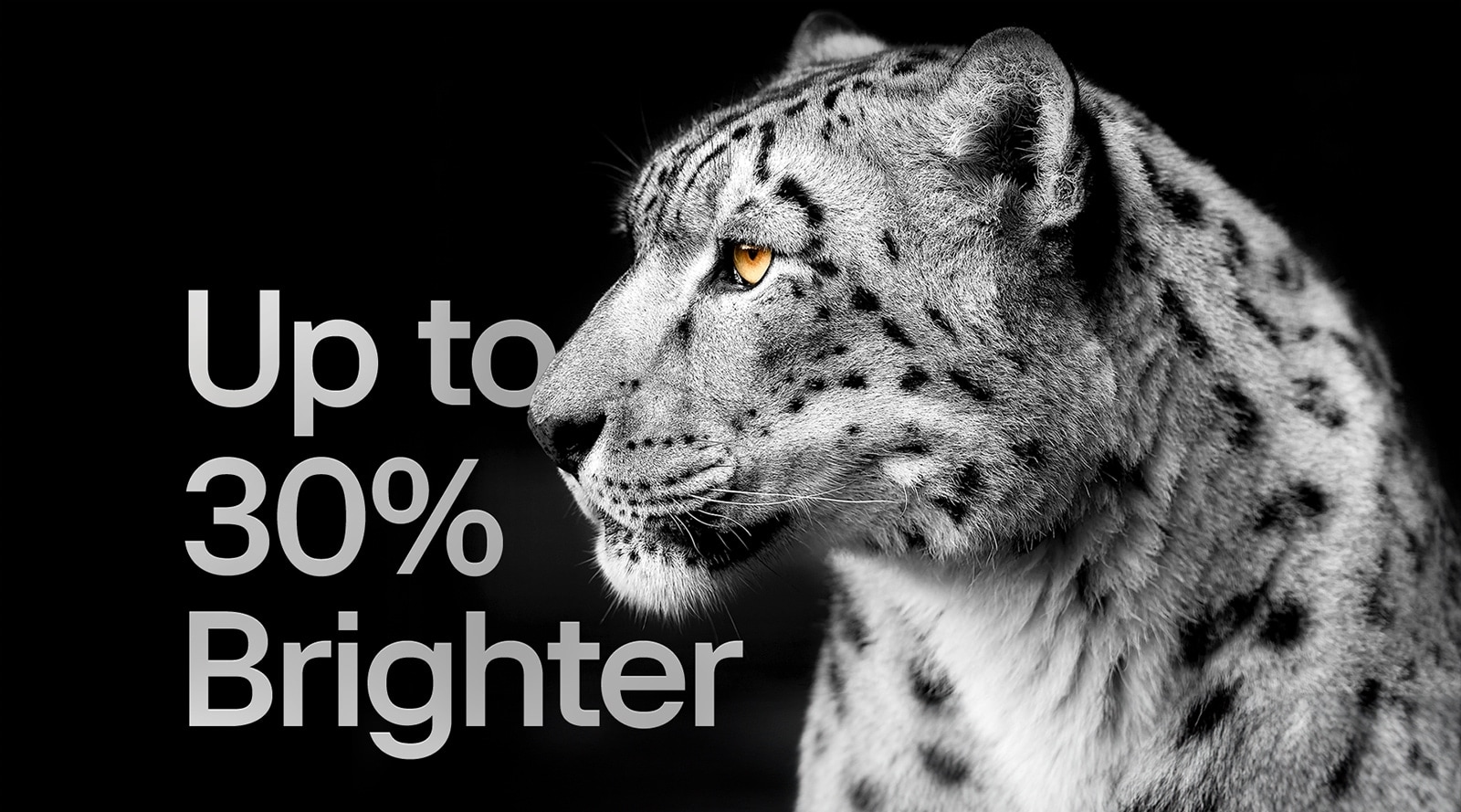 An image of a white leopard showing its side face on the left side of the image. The words "Up to 30% brighter" appear on the left.