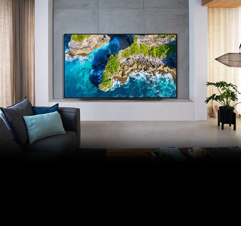 Lg Oled55cx6la ： 4k Smart Oled Tv 0855