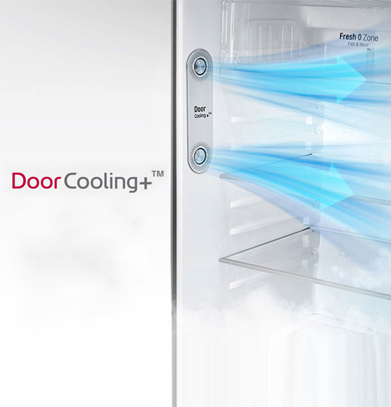 lg double door fridge door cooling