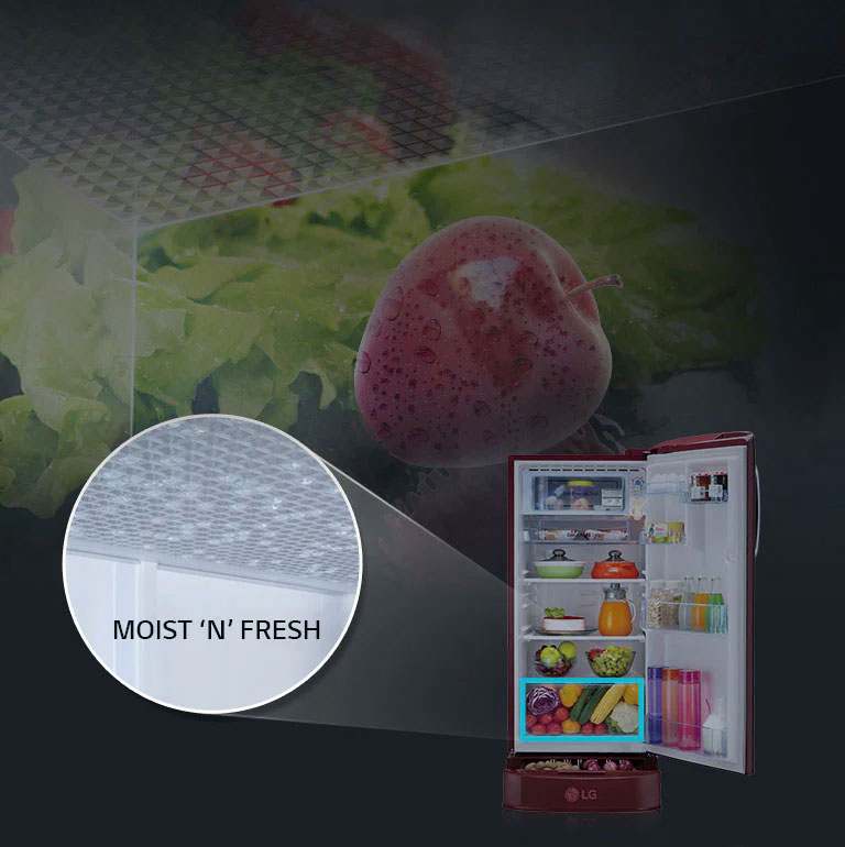 LG Single Door Refrigerator with Mosit N Fresh