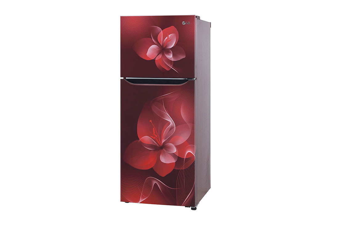 lg 260 ltr refrigerator 5 star price