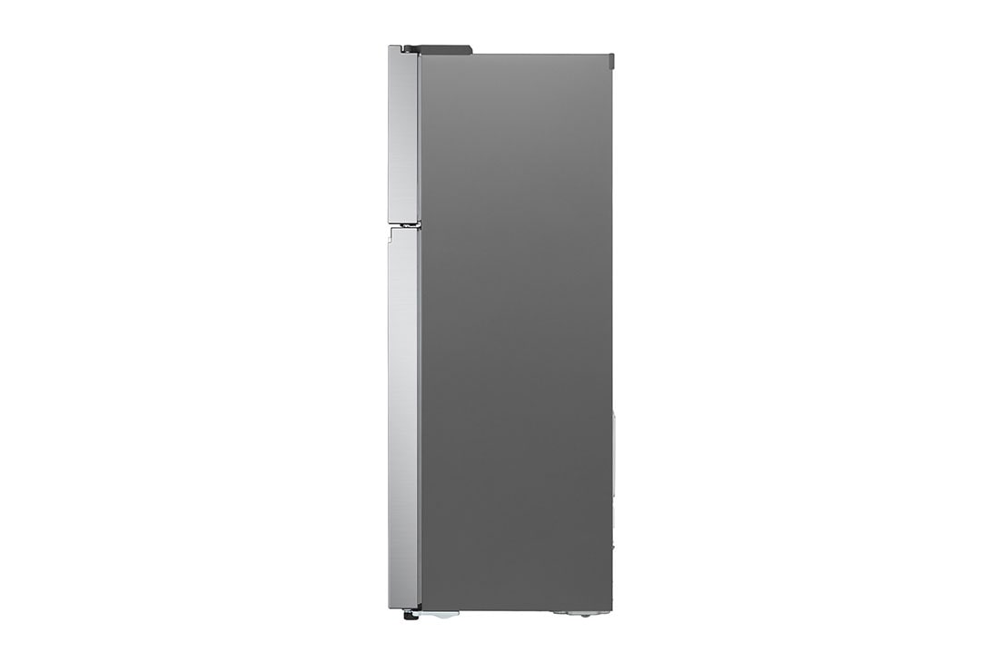 375L Top Mount Fridge in Stainless Finish | LG New Zealand