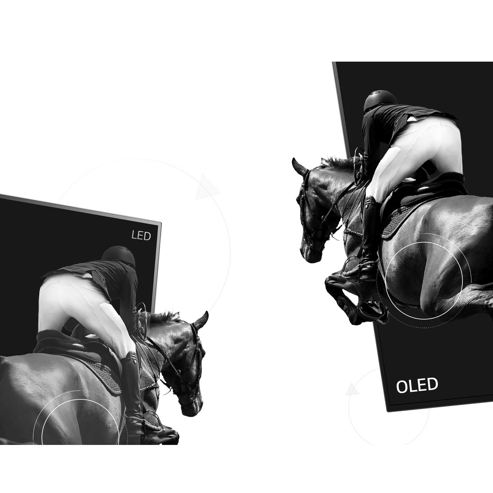 Scena di equitazione su LED a basso contrasto e l'altra metà su OLED a contrasto infinito (guarda il video)