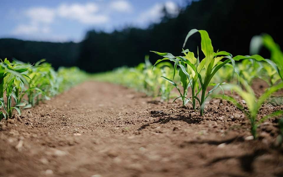 agricultura_biologic_header.jpg