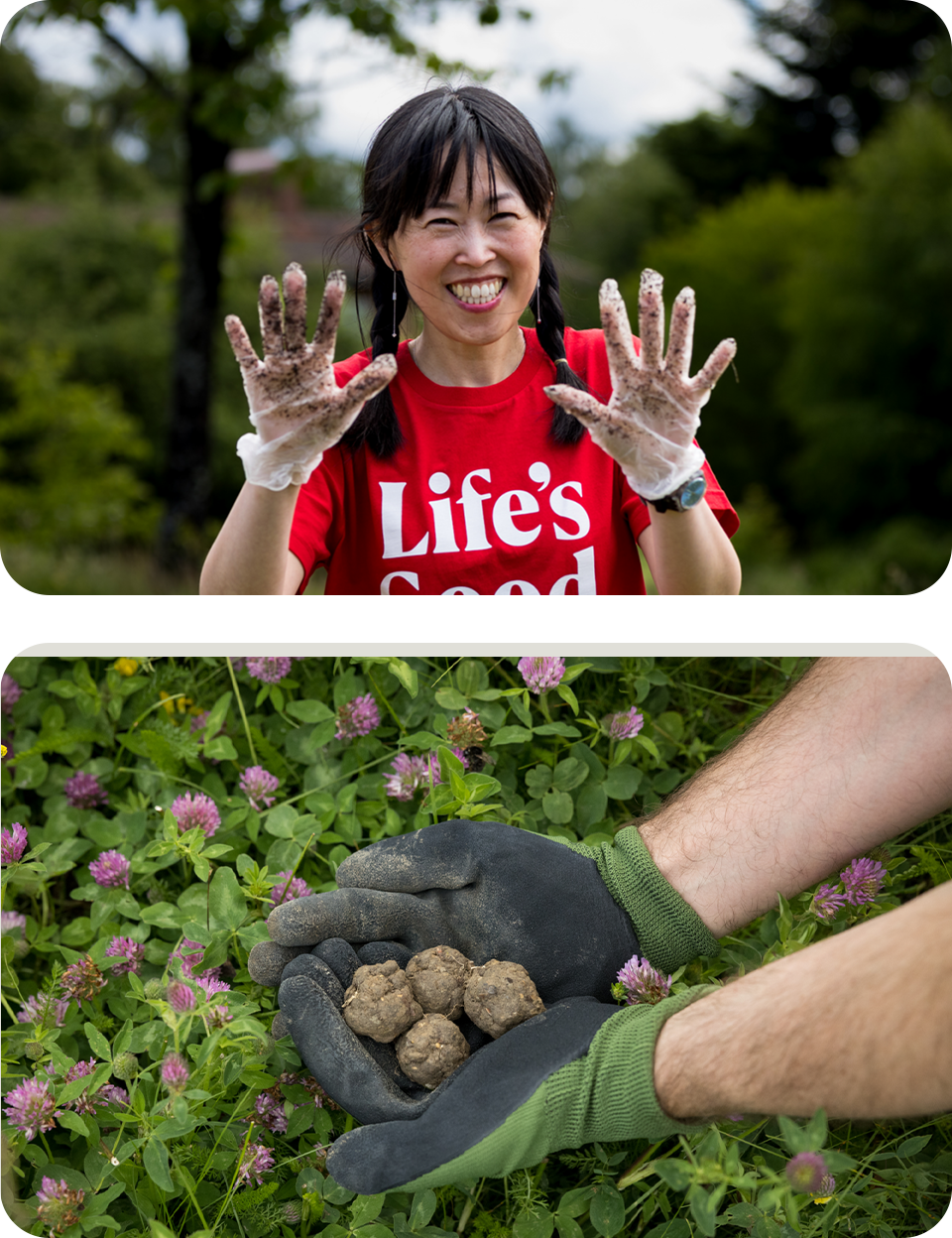 LG Electronics corporate social responsibility LG Sweden SeedBalls