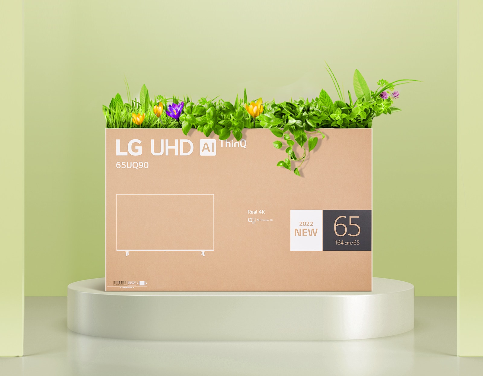 Flower box made from recycled LG UHD monitor packaging.
