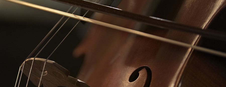 Img_LG SIGNATURE partner La Scala_violin