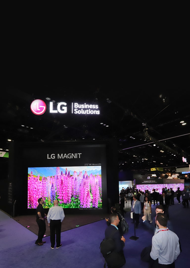 lg display screens