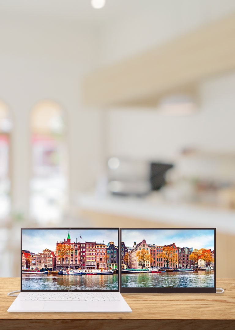 lg gram dual monitor