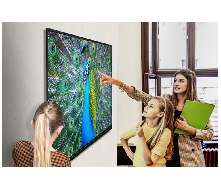 LG 65TR3BG-B: 65” TR3BF-B Series IR Multi-Touch Point UHD IPS Digital ...