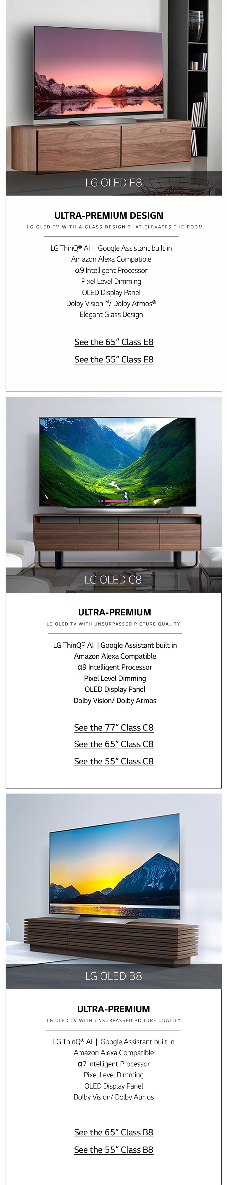 lg c8 google assistant