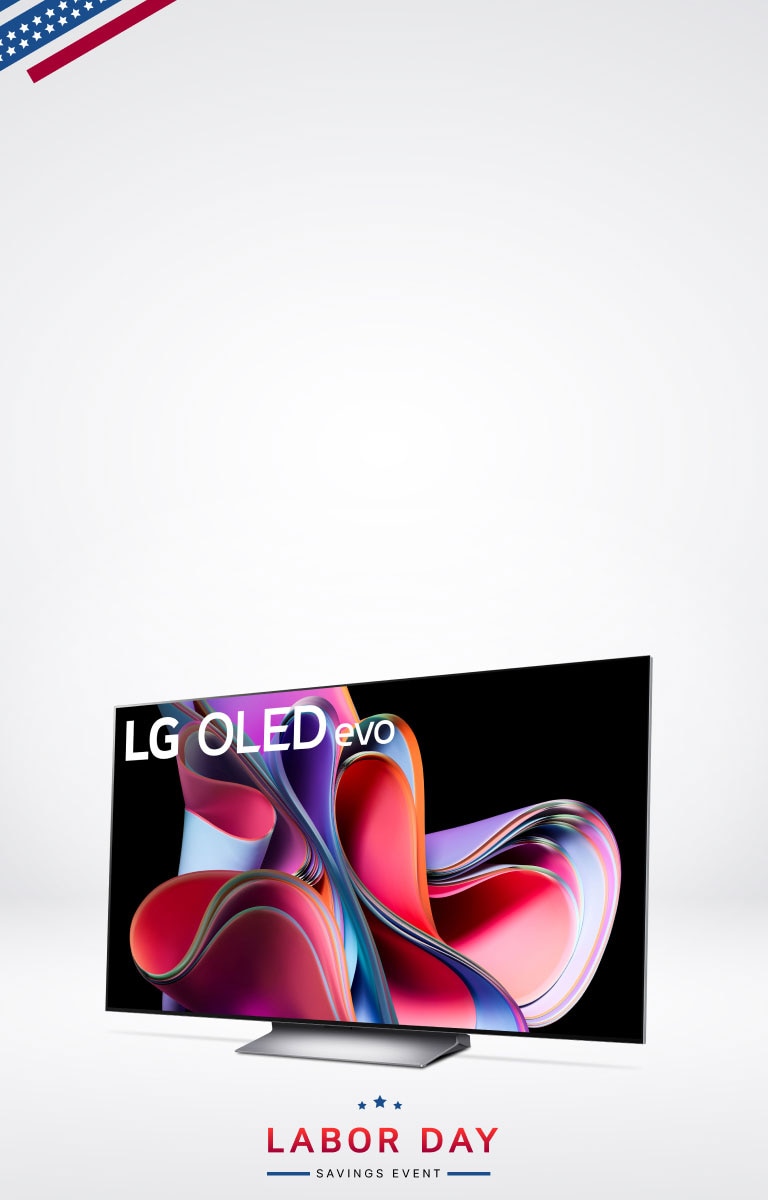 Get a Gallery Floor Stand free with an OLED G3
