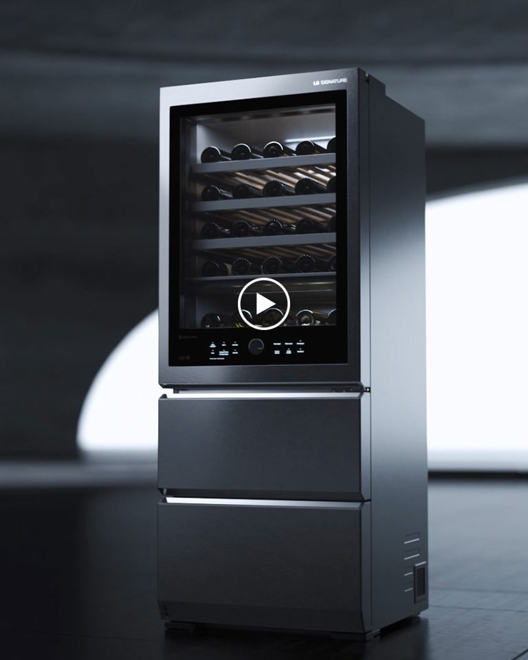 Lg wine cooler 24 inch sales