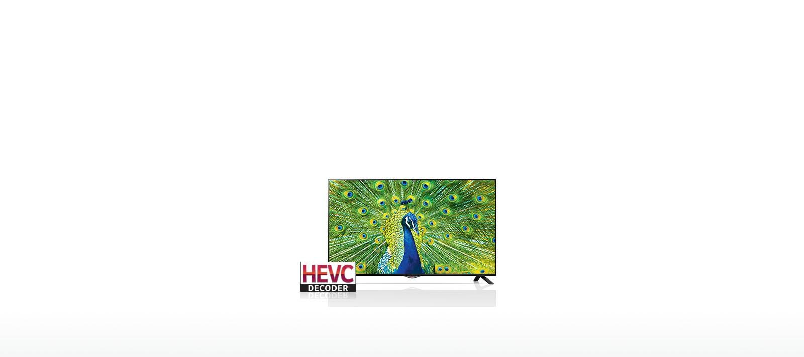 HEVC Decoder