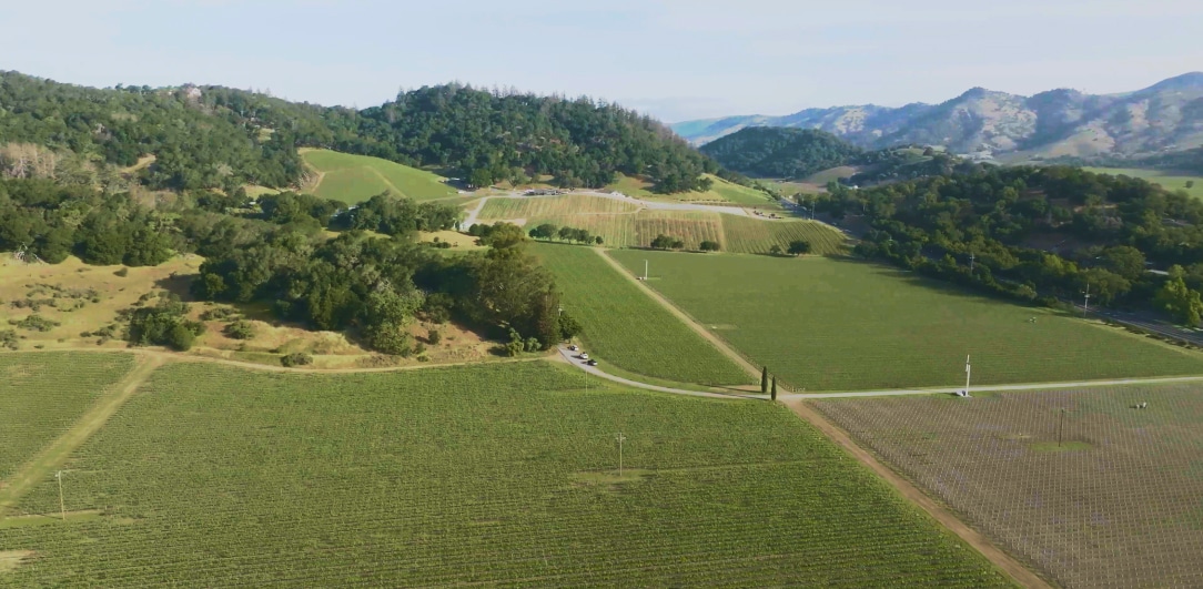 A wide view of a wine estate showing green fields.