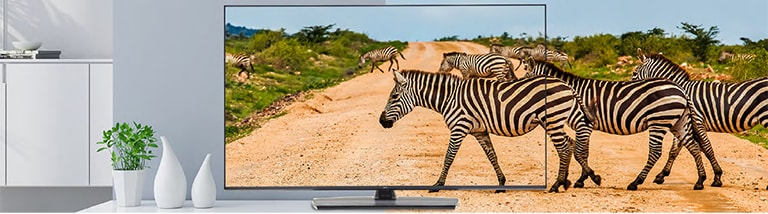 TV viền mỏng hiển thị màn hình với hình ảnh chân thực giúp nâng cao trải nghiệm người xem.